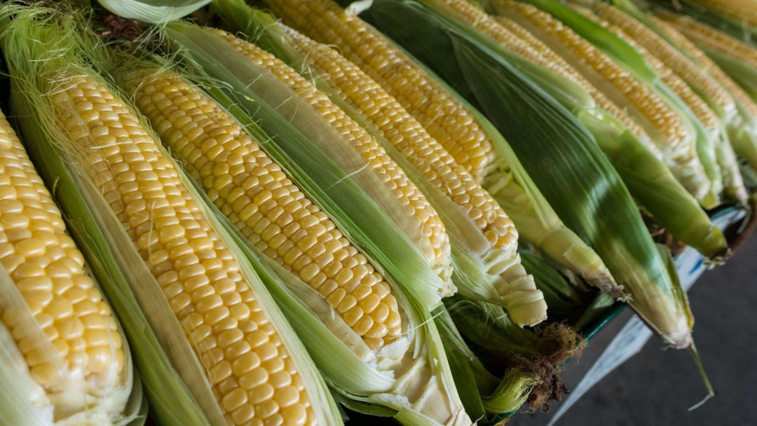 Top 8 Summer Vegetables for Healthy Living